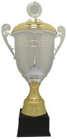 Pokal 60033 - Silber/Gold - 68,0cm